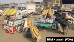 A fruit seller waiting for customers at Srinagar mandi at Parimpora, north-west of Srinagar City- 6 Kms away from Lal Chowk Srinagar.