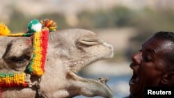 Hossam Nasser, 32, plays with his camel &quot;Anter&quot; in the Nubian village of Gharb Soheil, on the west bank of the Nile river in Aswan, Egypt.