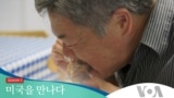 [미국을 만나다 2] 소울푸드의 고향, 미국남부 