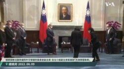 台湾总统蔡英文会见法国议员 