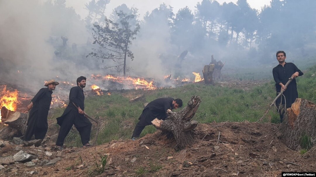 Fire in KP