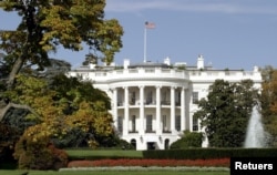 WHITE HOUSE