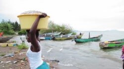 Face à la hausse des prix du carburant, des pêcheurs kenyans adoptent des bateaux électriques