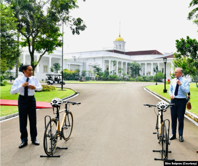 Sebelum melakukan Pertemuan Bilateral Presiden Jokowi mengajak PM Albanese bersepeda keliling kompleks Istana Kepresidenan Bogor, Jawa Barat, Senin (6/6). (Foto: Biro Setpres)