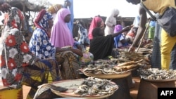 Des populations déplacées dans le village de Farié, au sud du Niger, près du Burkina Faso.