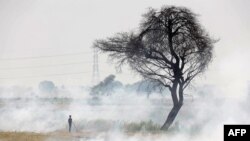 A worker burns stubble after harvesting pulse crop in a field at Hoshangabad district of India&#39;s Madhya Pradesh state, India.
