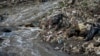 Environmental Groups Aims to Clean up Guatemalan River