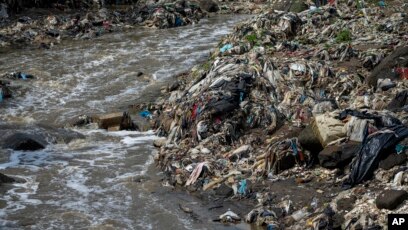 Wax Worm Enzyme Could Help Fight Plastic Waste Pollution