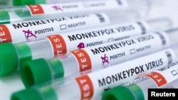 FILE - Test tubes labeled "Monkeypox virus positive and negative" are seen in this illustration created May 23, 2022.