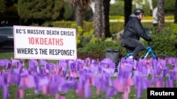 FILE - A cyclist rides past flags symbolizing the more than 10,000 people who have died of toxic drug overdoses in British Columbia, Canada, during a demonstration by the drug user advocacy group Moms Stop The Harm in Vancouver, British Columbia, Canada, on April 14, 2022.