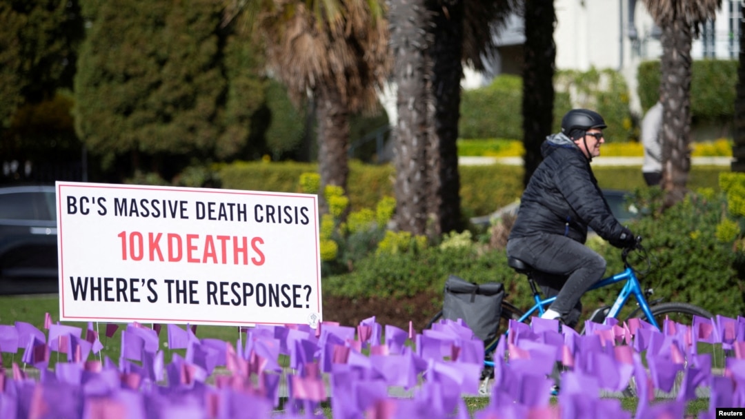 Seorang pengendara sepeda melewati ratusan bendera yang melambangkan lebih dari 10.000 orang yang telah meninggal karena overdosis obat beracun di British Columbia, Kanada, 14 April , 2022. (REUTERS/Jesse Winter/File Foto)