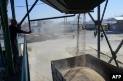 FILE - A truck is loaded with wheat in Izmail, Ukraine, March 24, 2022. The food security of tens of millions of people around the world depends on the sowing in the war-ravaged country.