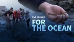 For the Ocean