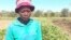LESIPHO ANTONETHA MOYO - IRRIGATION.mp4