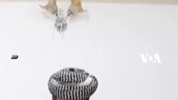 Pak Kumis: Warga Irak Jadi Selebriti Lokal Karena Kumis Panjangnya