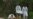 Bucolic Ukraine Forest is Site of Mass Grave Exhumation