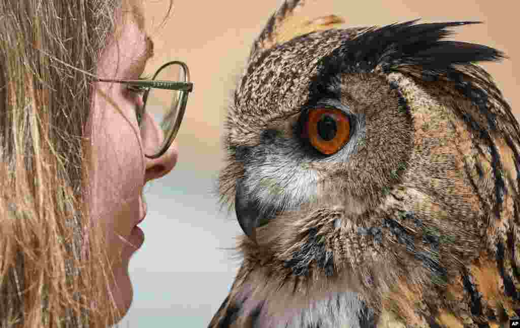 Falconer Laura, left, looks into the eyes of Hugo, a Eurasian eagle-owl, at a hunting fair in Dortmund, Germany.