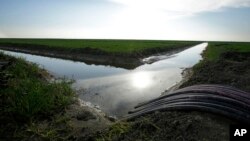 FILE - Water flows through an irrigation canal to crops near Lemoore, Calif., Feb. 25, 2016. A proposal in the California state Senate would spend up to $1.5 billion to buy up water rights that farmers use to grow their crops. (AP Photo/Rich Pedroncelli, File)