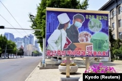 Korea Utara Coba Lawan COVID-19 dengan Obat Herbal Kebanggaan