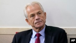 FILE - White House trade adviser Peter Navarro listens as President Donald Trump speaks during a news conference at the White House, on August 14, 2020, in Washington. Navarro was indicted, June 3, 2022, on contempt charges after defying a subpoena from t