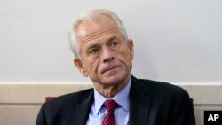 Mantan penasihat perdagangan Presiden AS Donal Trump, Peter Navarro (foto: dok).