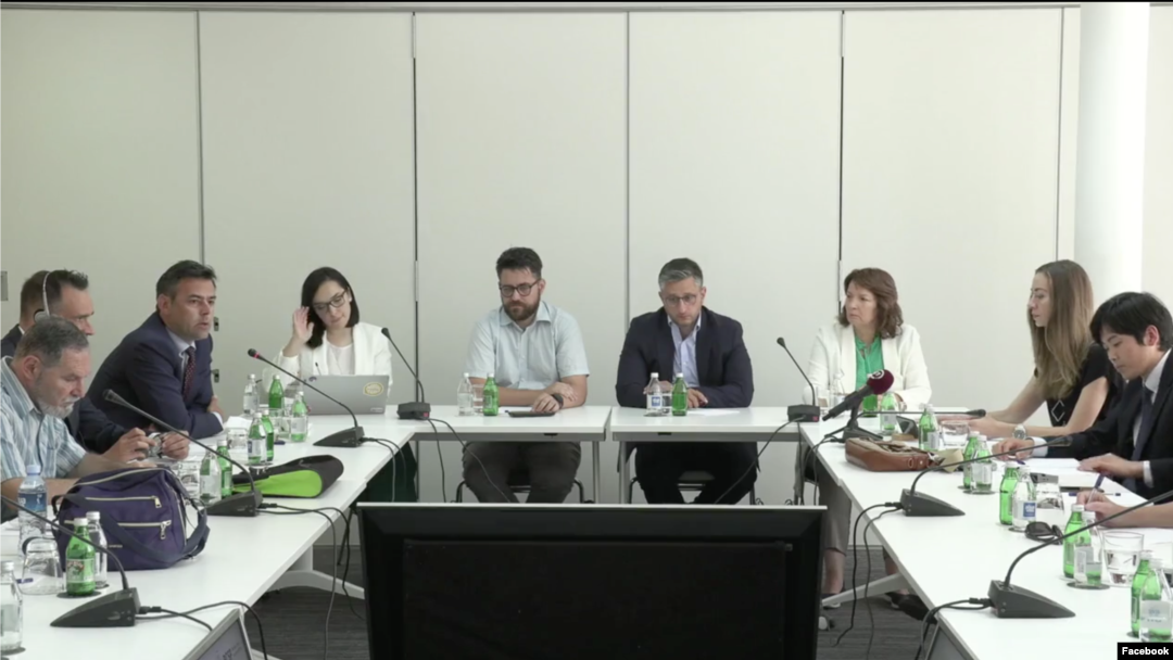 Učesnici okruglog stola "Smederevo, Bor i Zrenjanin – borba sa posledicama kineskih projekata" u organizaciji Beogradskog centra za bezbednosnu politiku, u Beogradu, 14. juna 2022. (Foto: Facebook Live)