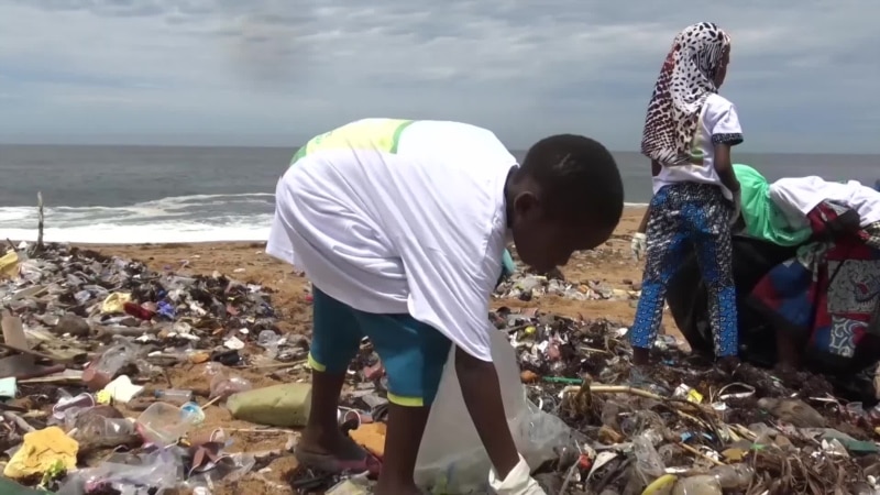 Initier les plus jeunes Ivoiriens à la protection de l'environnement