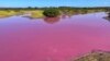 Body of Water in Hawaii Mysteriously Turns Bright Pink