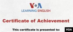 LLE1 Certificate