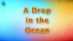 Thành ngữ tiếng Anh thông dụng: ‘Hạt cát trong sa mạc’