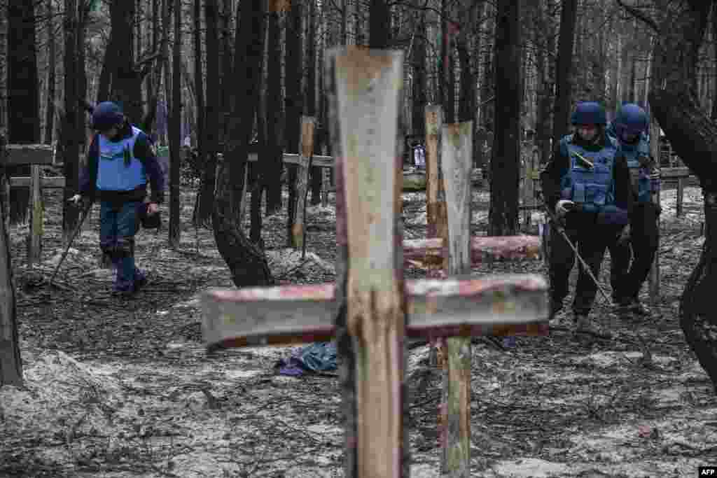 Ukrainian servicemen search for land mines at a burial site in a forest on the outskirts of Izyum, eastern Ukraine.