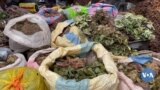 🇧🇫Burkina Faso farafin Furakela Mɔgɔ caman bɛ yen minnu bɛ taa furakɛli laadalata la ni jigiya ye ka kɛnɛya sɔrɔ kokura