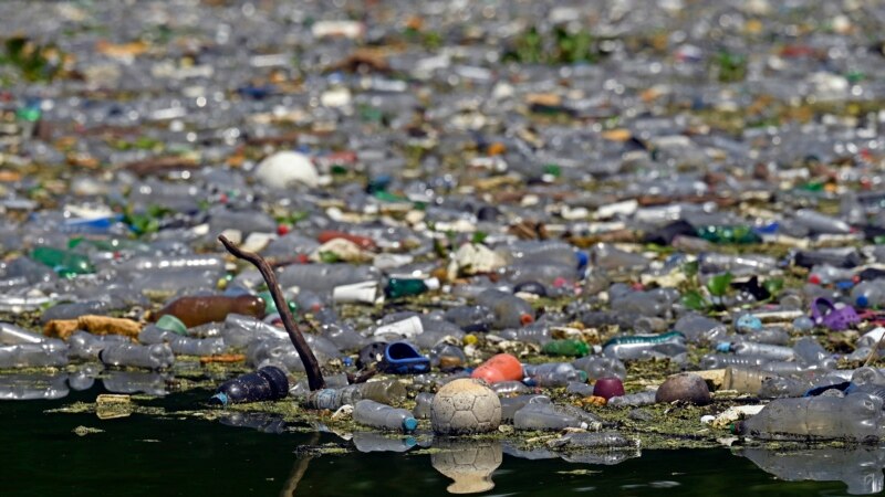 Plastic-Gobbling Enzymes in Worm Spit May Help Ease Pollution