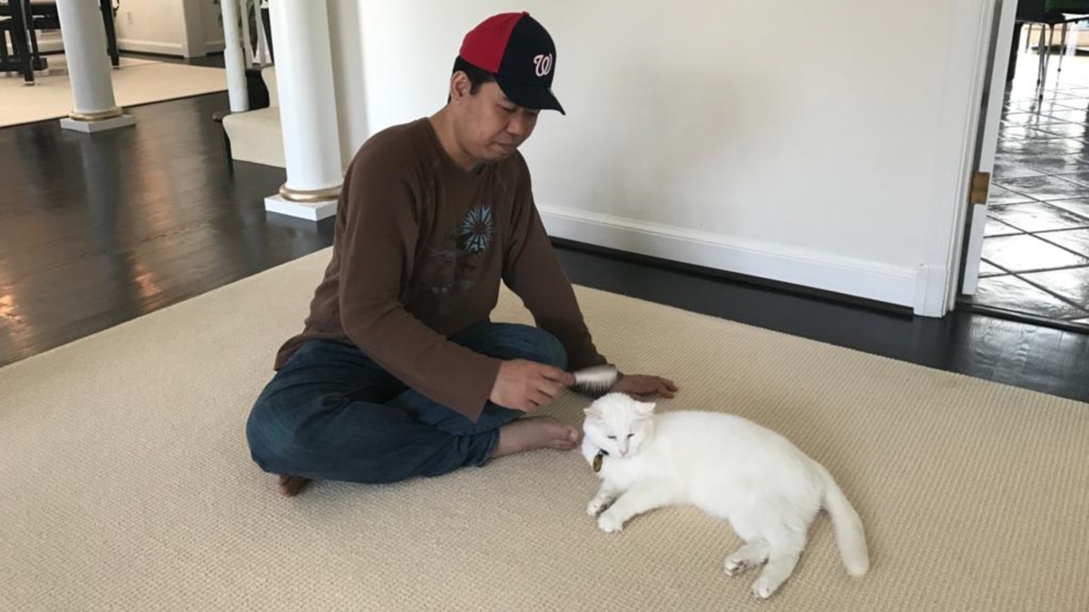 House Sitter dan Cat Sitter di AS Kerja Santai di Rumah dengan Gaji Besar