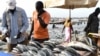 Fish are laid out for sale at a stand at the beach of Hann in Dakar, Senegal, on July 22, 2019. A Senegalese fisherman's collective says a local fish meal factory has polluted their village and destroyed their livelihoods. 