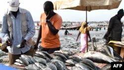 Fish are laid out for sale at a stand at the beach of Hann in Dakar, Senegal, on July 22, 2019. A Senegalese fisherman's collective says a local fish meal factory has polluted their village and destroyed their livelihoods. 