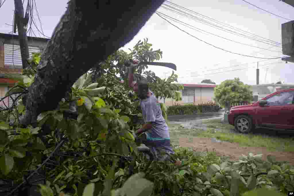 A man uses a machete to cut a tree that was felled by the wind from Hurricane Fiona in Loiza, Puerto Rico, Sept. 19, 2022.