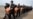 中柬合作再抓获五百余赌诈嫌犯,首批240人被押解回中国