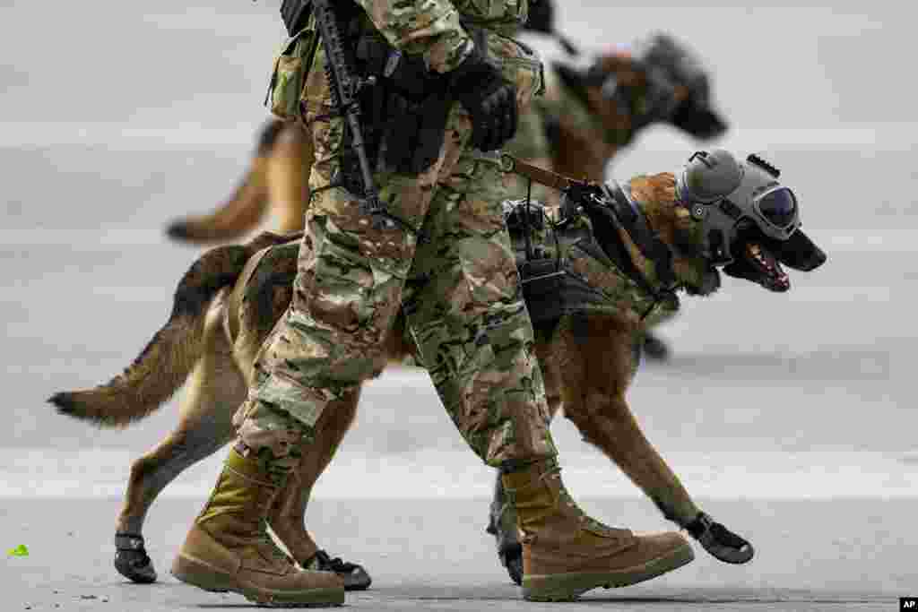 Chilean soldiers march with heliborne rescue dogs during a military parade to celebrate Independence Day and Army Day in Santiago, Sept. 19, 2022.