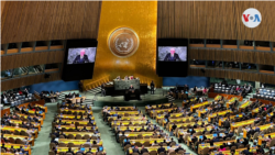 ONU Asamblea General avance jornada
