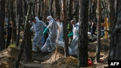 Forensic technicians carry a bodybag at the site of a mass grave in a forest on the outskirts of Izyum, eastern Ukraine, Sept. 18, 2022. 