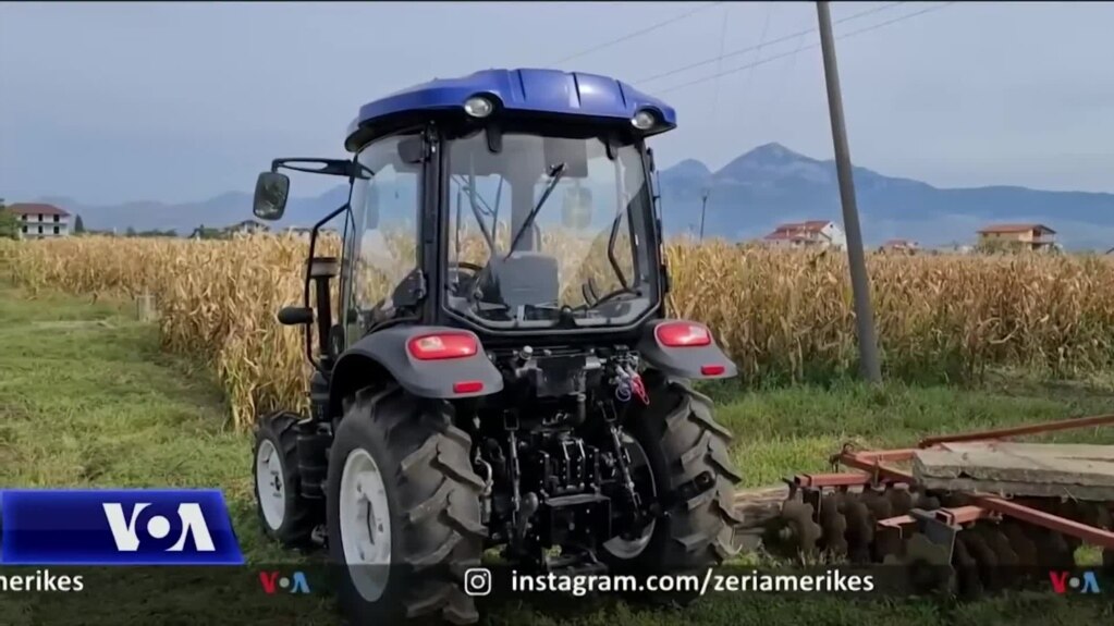 Shqipëria përballë nevojës për shtimin e prodhimit të misrit