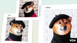 DALL-E 2 generated Shiba Inu dog wearing a beret
