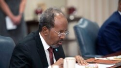 Somali President Scores Points Against Terrorism - Analysis 