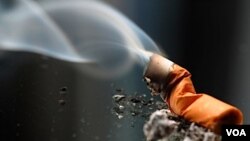 El consumo de tabaco es la segunda causa mundial de muerte y de que fallezcan uno de cada diez adultos.