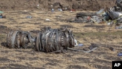 Airplane parts lie on the ground at the scene of an Ethiopian Airlines flight crash near Bishoftu, or Debre Zeit, south of Addis Ababa, Ethiopia, Monday, March 11, 2019. (AP Photo/Mulugeta Ayene)
