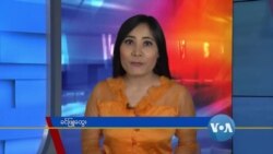 နေ့စဉ် တီဗွီသတင်းလွှာ (၀၁-၂၁ -၂၀၂၀)