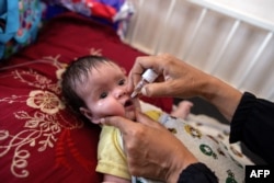 A nurse administers polio vaccine drops to a Palestinian patient at the Nasser hospital in Khan Younis in the southern Gaza Strip on Aug. 31, 2024, during the ongoing conflict between Israel and the Hamas militant group.