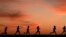 FILE - High school students run at sunset as they practice for the track and field season Monday, Feb. 28, 2022, in Shawnee, Kan. New research hints that even simple exercise just might help fend off memory problems. (AP Photo/Charlie Riedel, File)