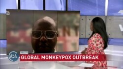 Global Concerns Rise After Monkeypox Declared Emergency
